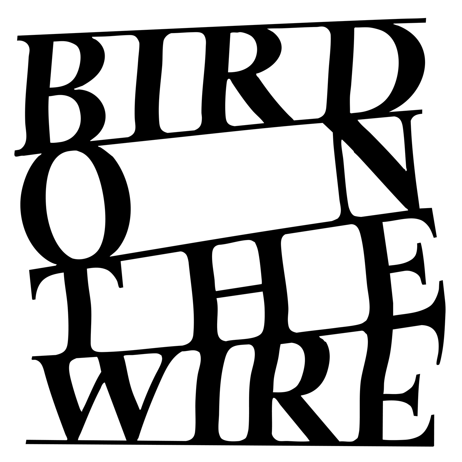 Bird on the Wire